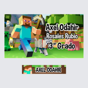 stickers lavables minecraft